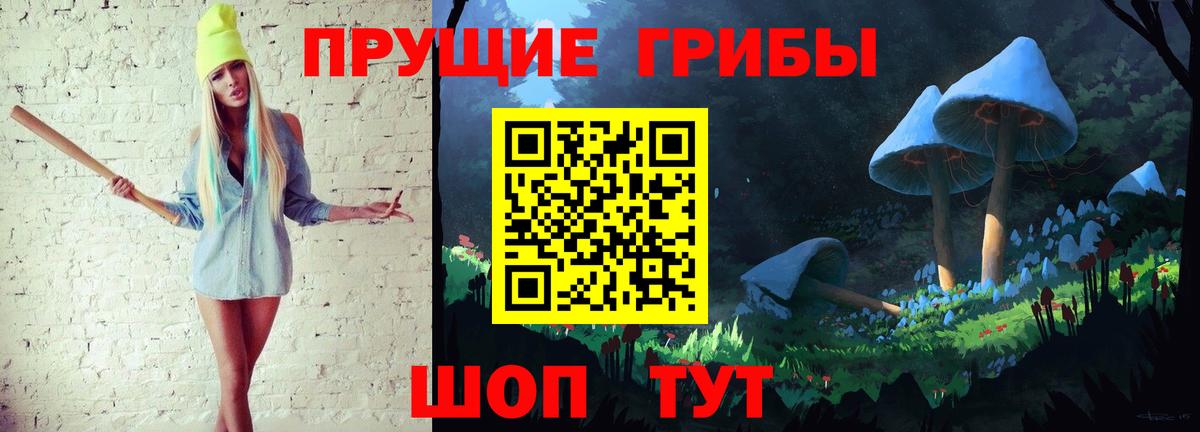 где найти наркотики  Псилоцибиновые грибы GOLDEN TEACHER  Вход с VPN  Кириши 